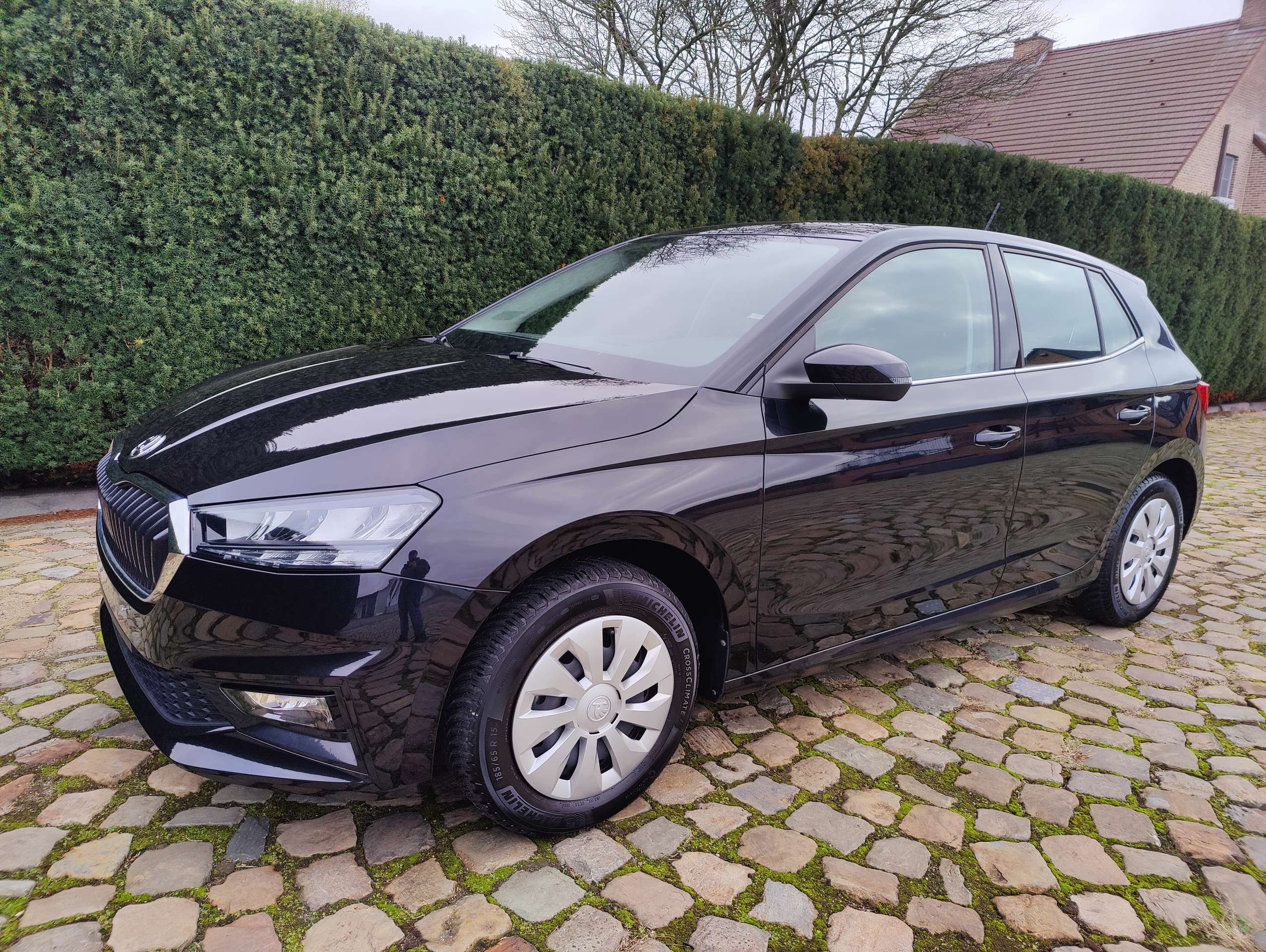 3c994499-8175-4d39-ab6f-a6f304b9eb743-skoda-fabia-fabia-1-0-tsi-clever-parkeer-camera-20260319.jpg