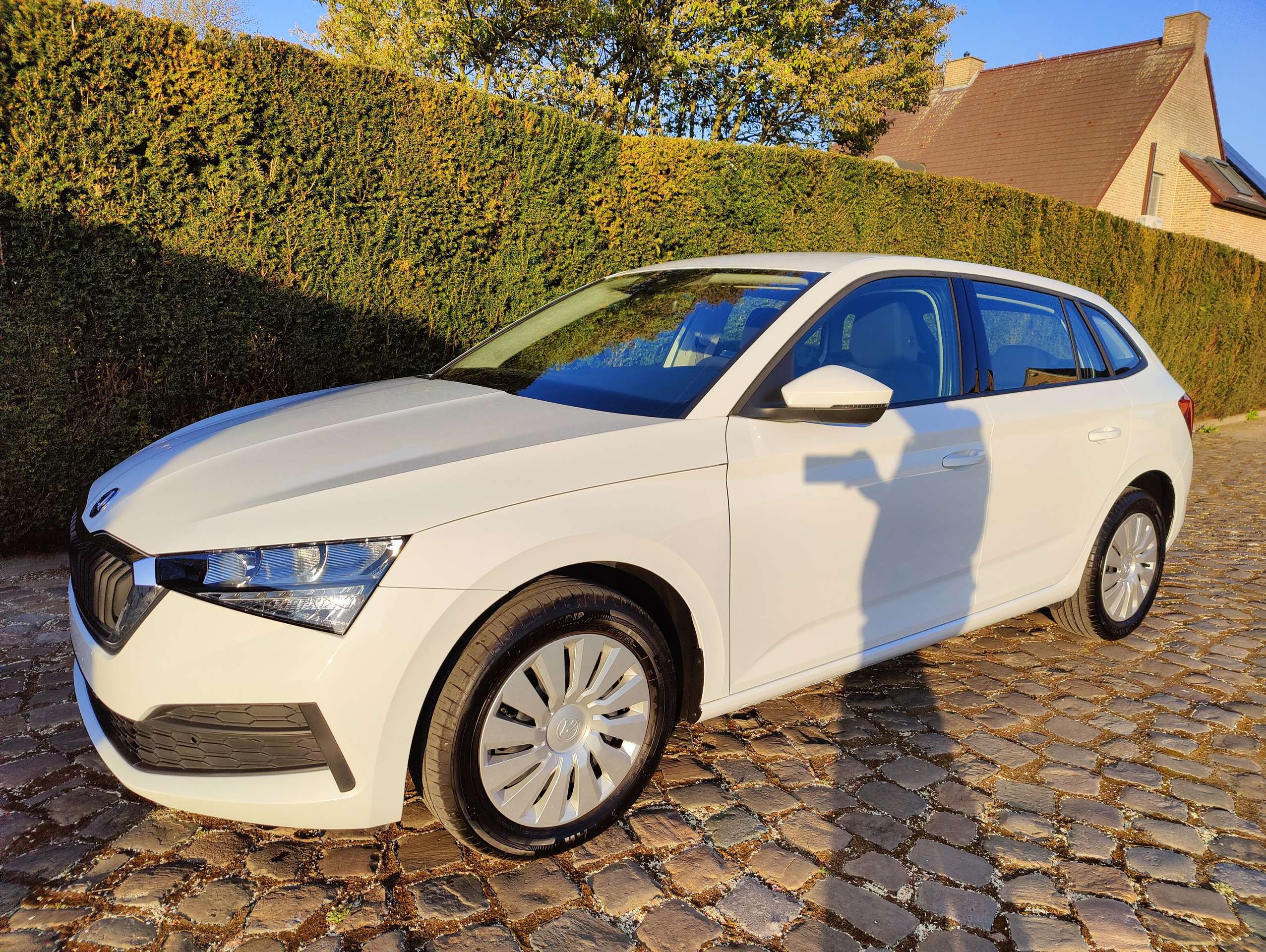 466ad4b2-8313-4f15-b17e-aaa3f5ca1c8d3-skoda-scala-1-0-tsi-active-eu6ap-20260319.jpg