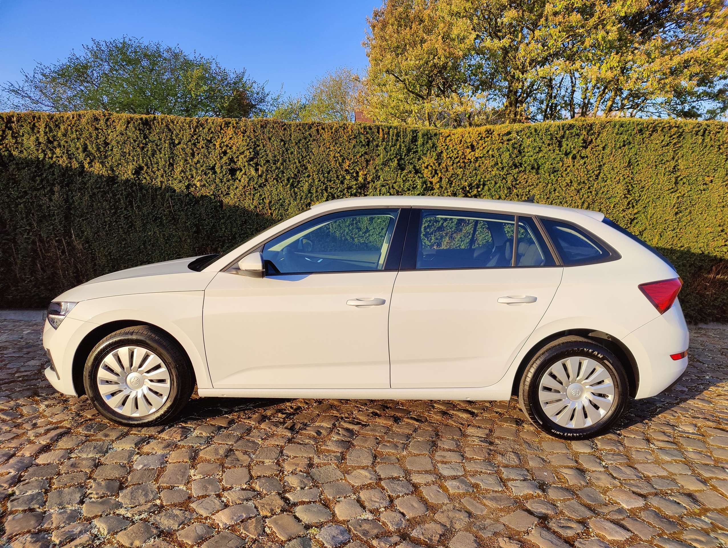 466ad4b2-8313-4f15-b17e-aaa3f5ca1c8d4-skoda-scala-1-0-tsi-active-eu6ap-20260319.jpg