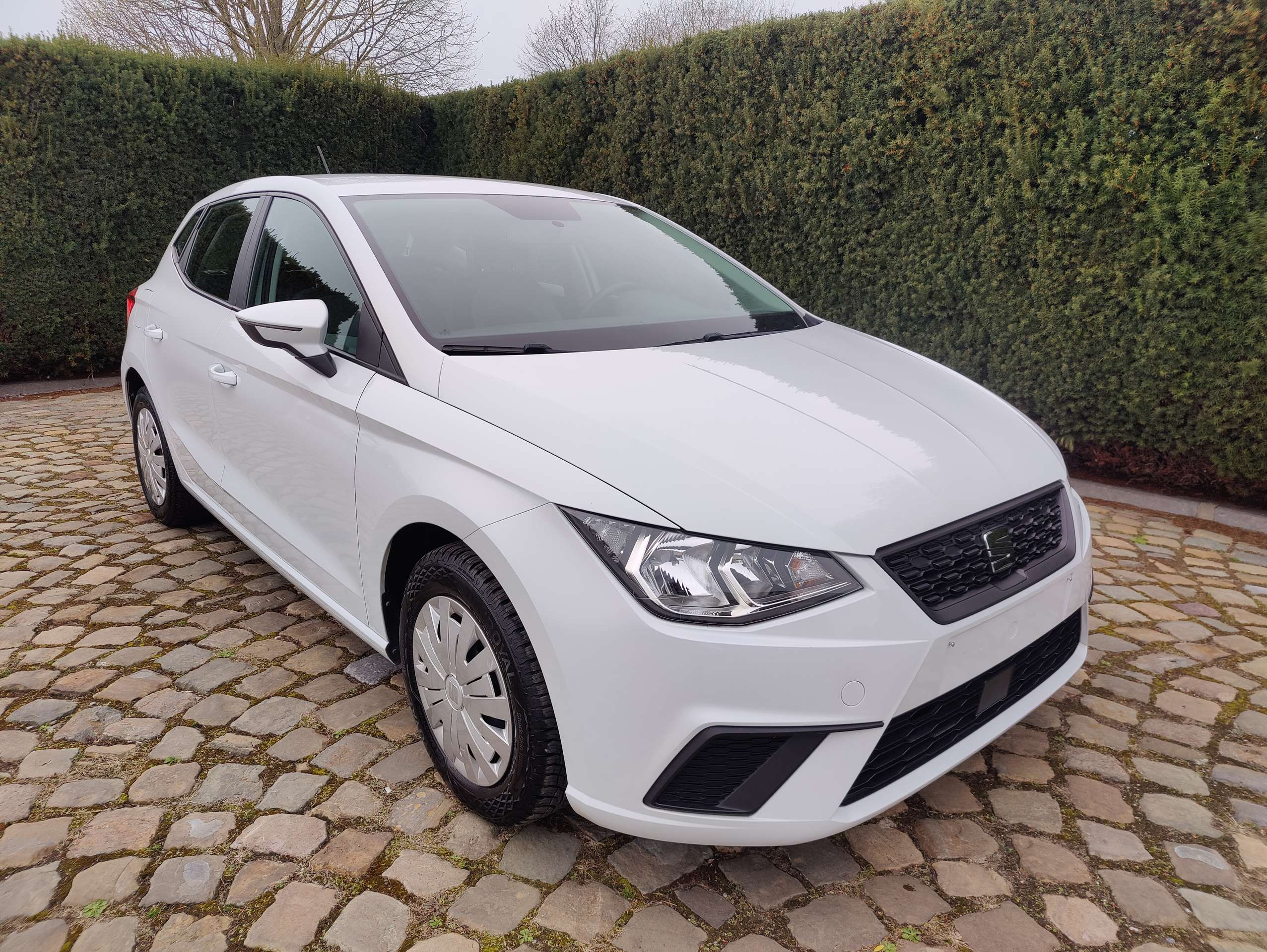 635f7333-70f3-4d51-bf76-64d2d19a99931-seat-ibiza-ibiza-1-0i-mpi-style-20260330.jpg