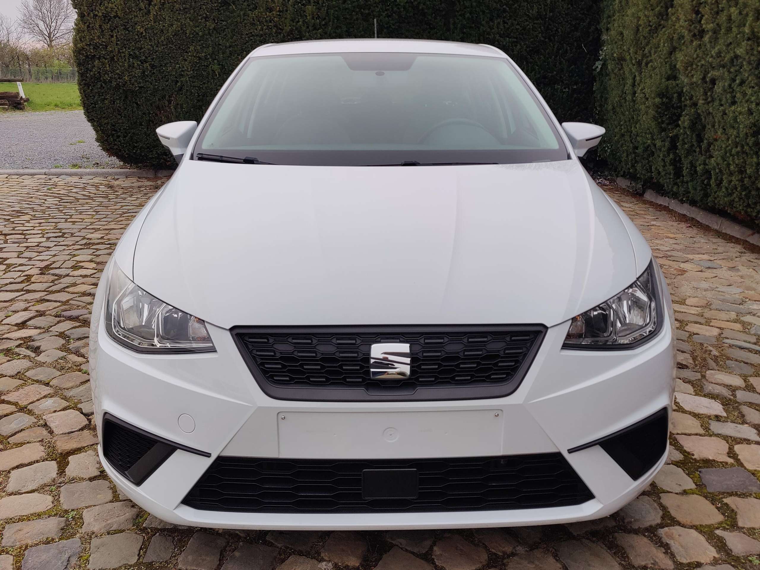 635f7333-70f3-4d51-bf76-64d2d19a99932-seat-ibiza-ibiza-1-0i-mpi-style-20260330.jpg