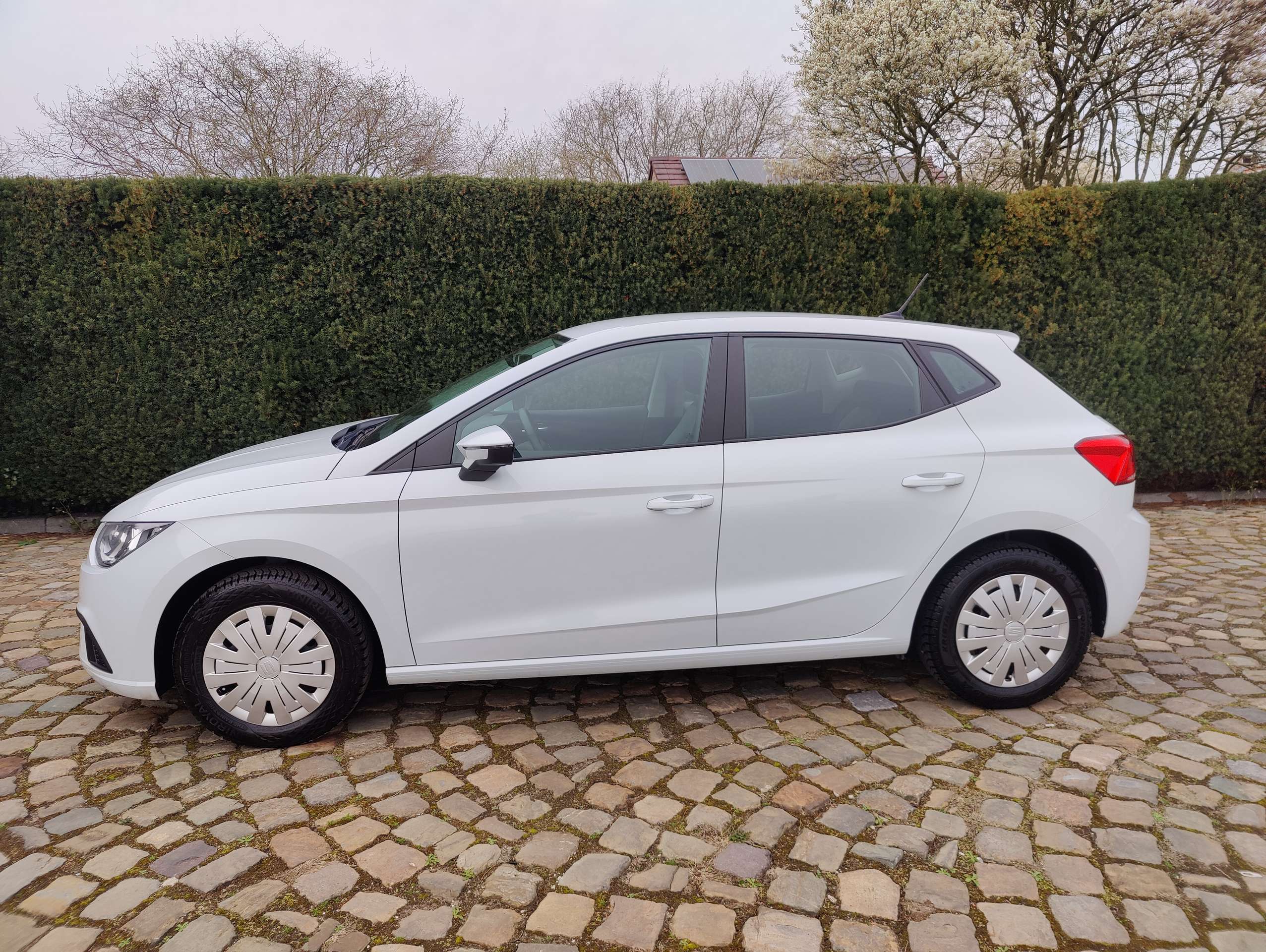 635f7333-70f3-4d51-bf76-64d2d19a99934-seat-ibiza-ibiza-1-0i-mpi-style-20260330.jpg
