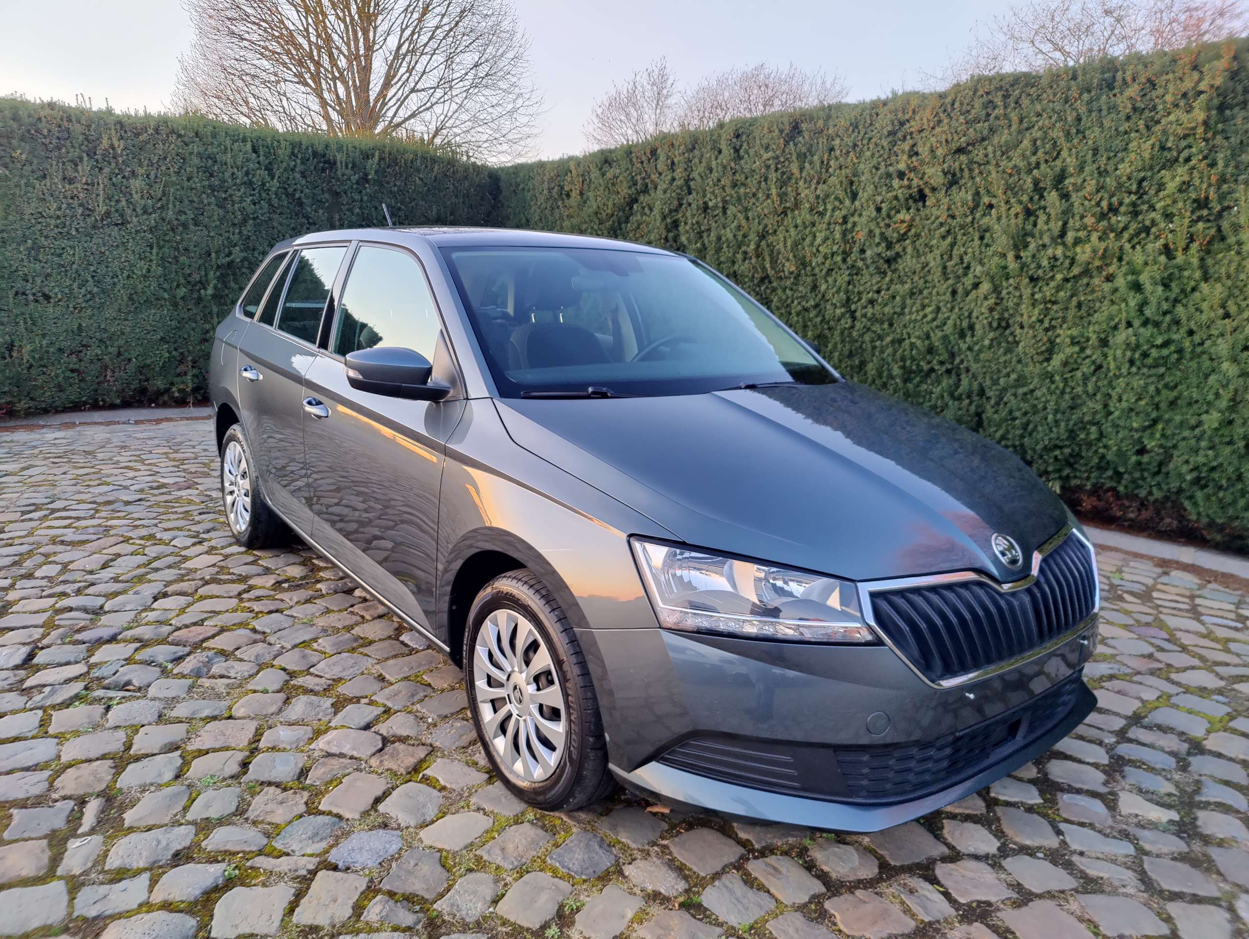 80311d0a-a7ac-419b-a3ea-0677607b240c1-skoda-fabia-fabia-sw-1-0-tsi-ambition-eu6ap-20260330.jpg