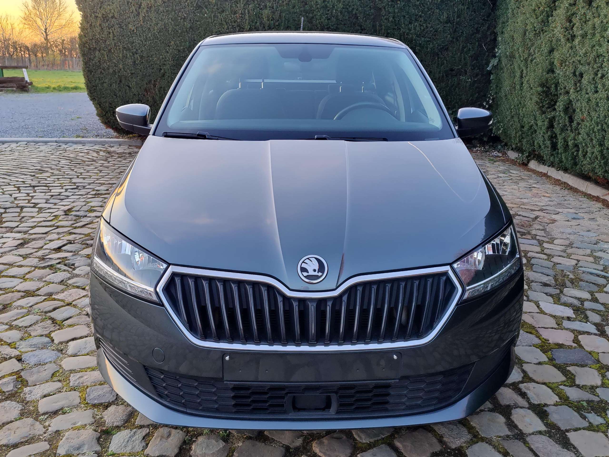 80311d0a-a7ac-419b-a3ea-0677607b240c2-skoda-fabia-fabia-sw-1-0-tsi-ambition-eu6ap-20260330.jpg