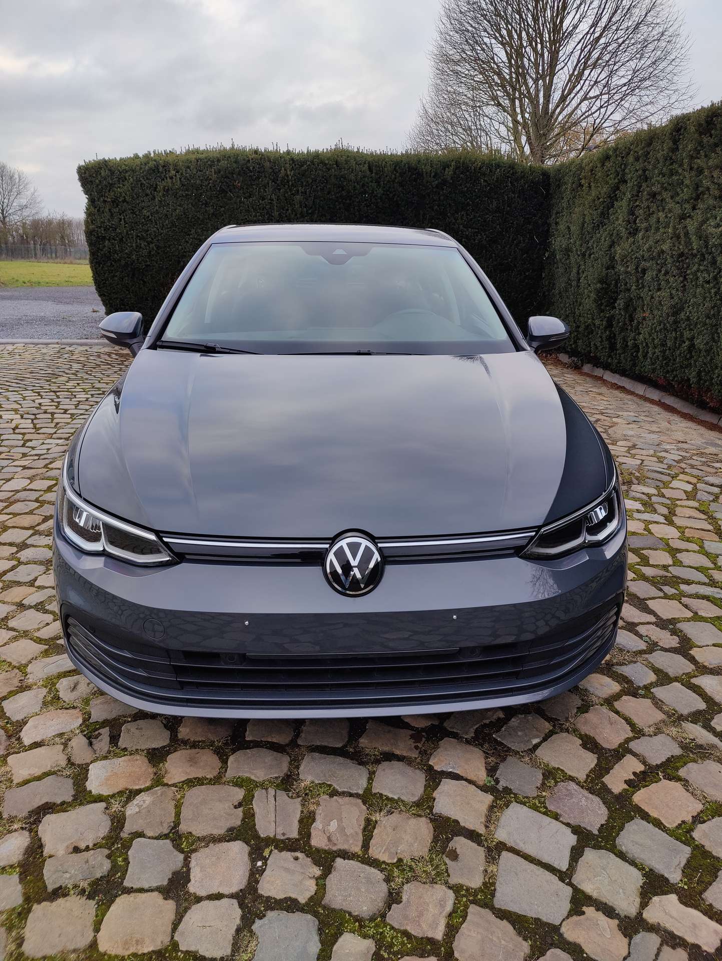 f29b957b-a8a3-4b36-99d5-18506cd9da912-volkswagen-golf-golf-1-0-etsi-life-business-opf-dsg-20260323.jpg
