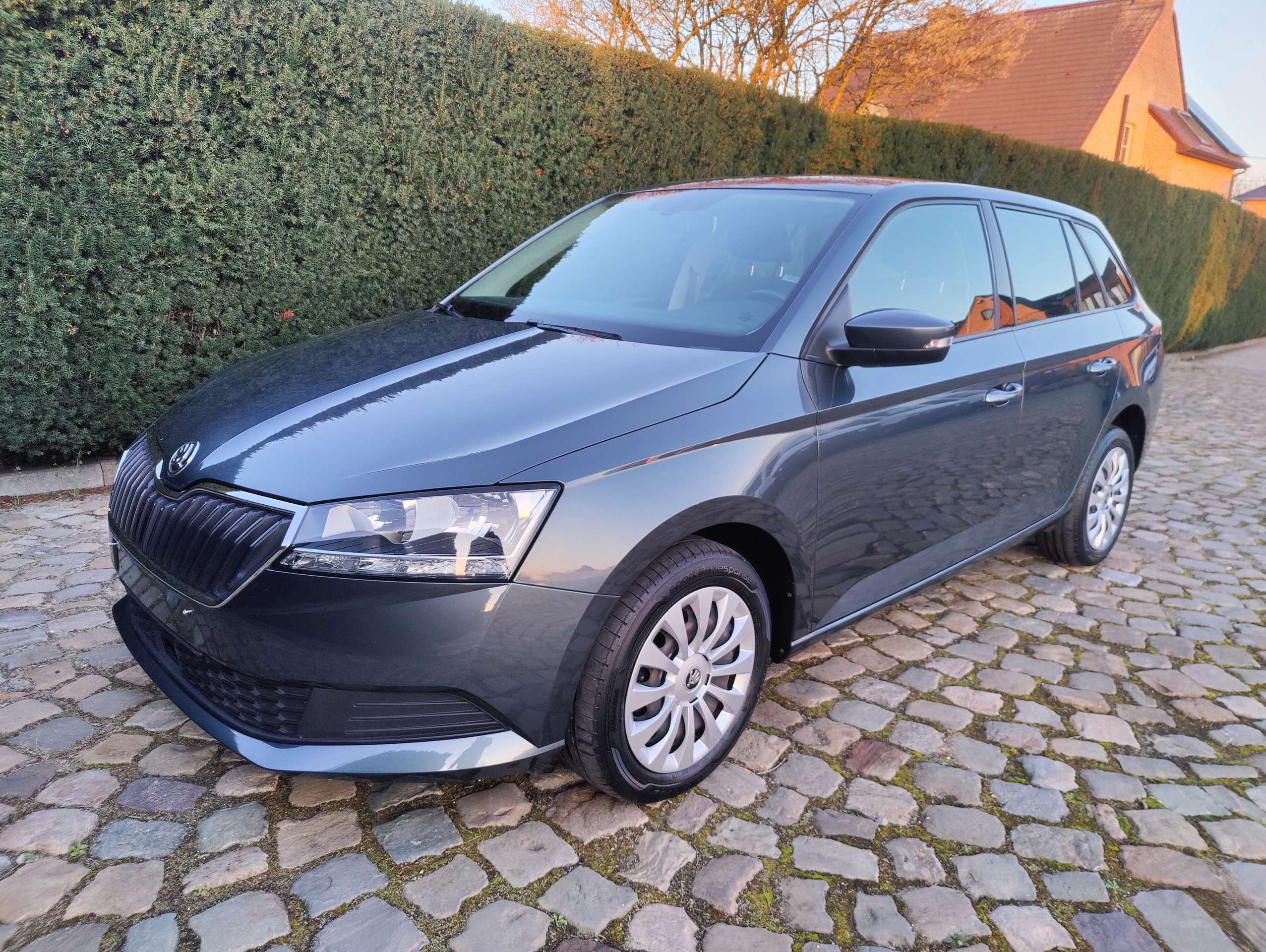 80311d0a-a7ac-419b-a3ea-0677607b240c3-skoda-fabia-fabia-sw-1-0-tsi-ambition-eu6ap-20260430.jpg