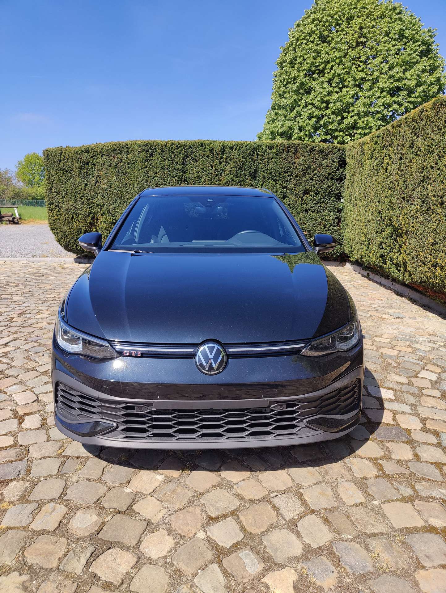 48152f96-b4ad-4fb3-80a8-f566f24a7a1d3-volkswagen-golf-gti-golf-2-0-tsi-gti-clubsport-opf-dsg-harman-kardon-20260513.jpg