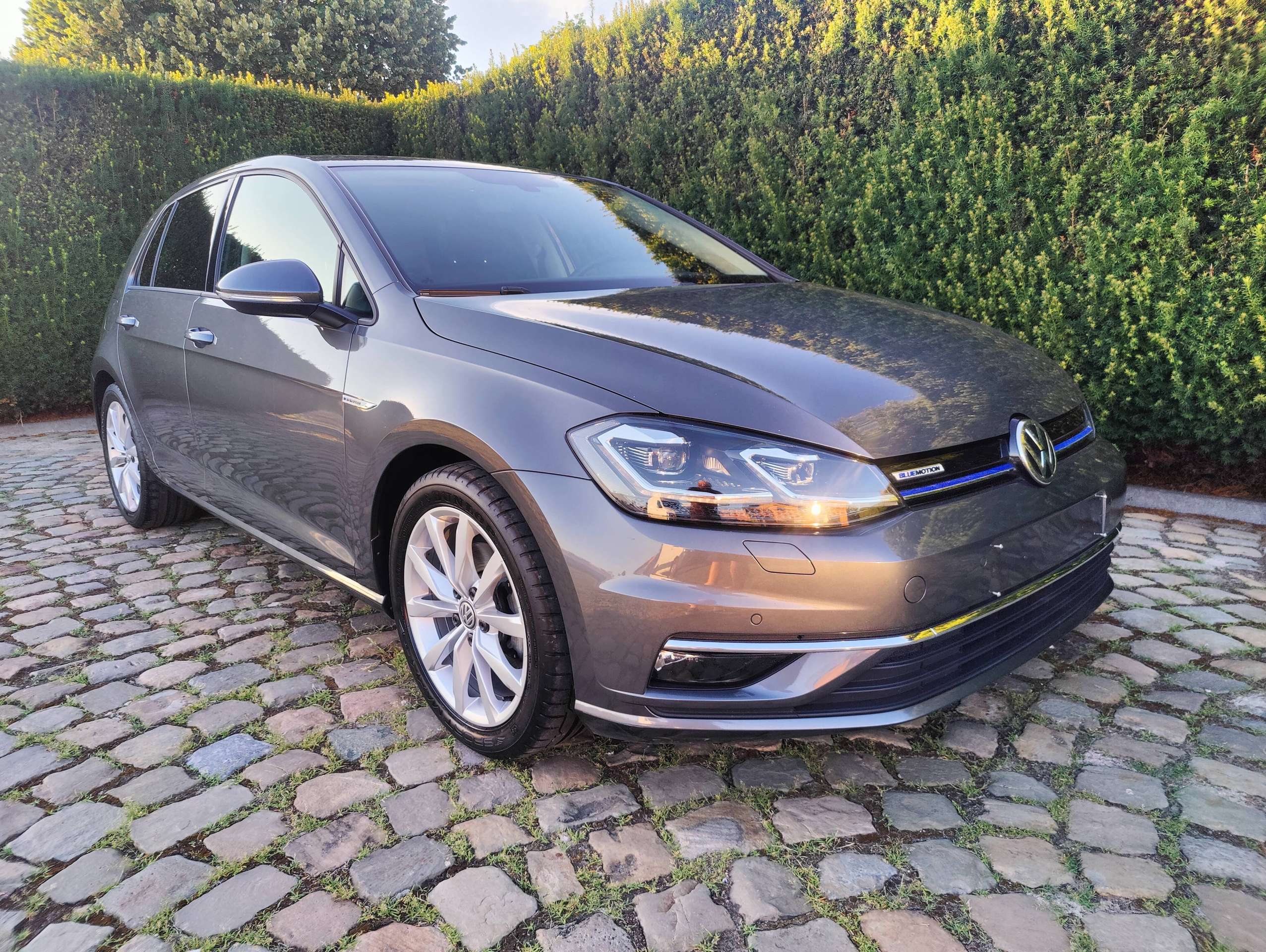 ca9c28f5-10b5-4931-a67d-db036605d4761-volkswagen-golf-golf-1-5-tsi-act-bm-highline-opf-dsg-eu6-2-20260708.jpg