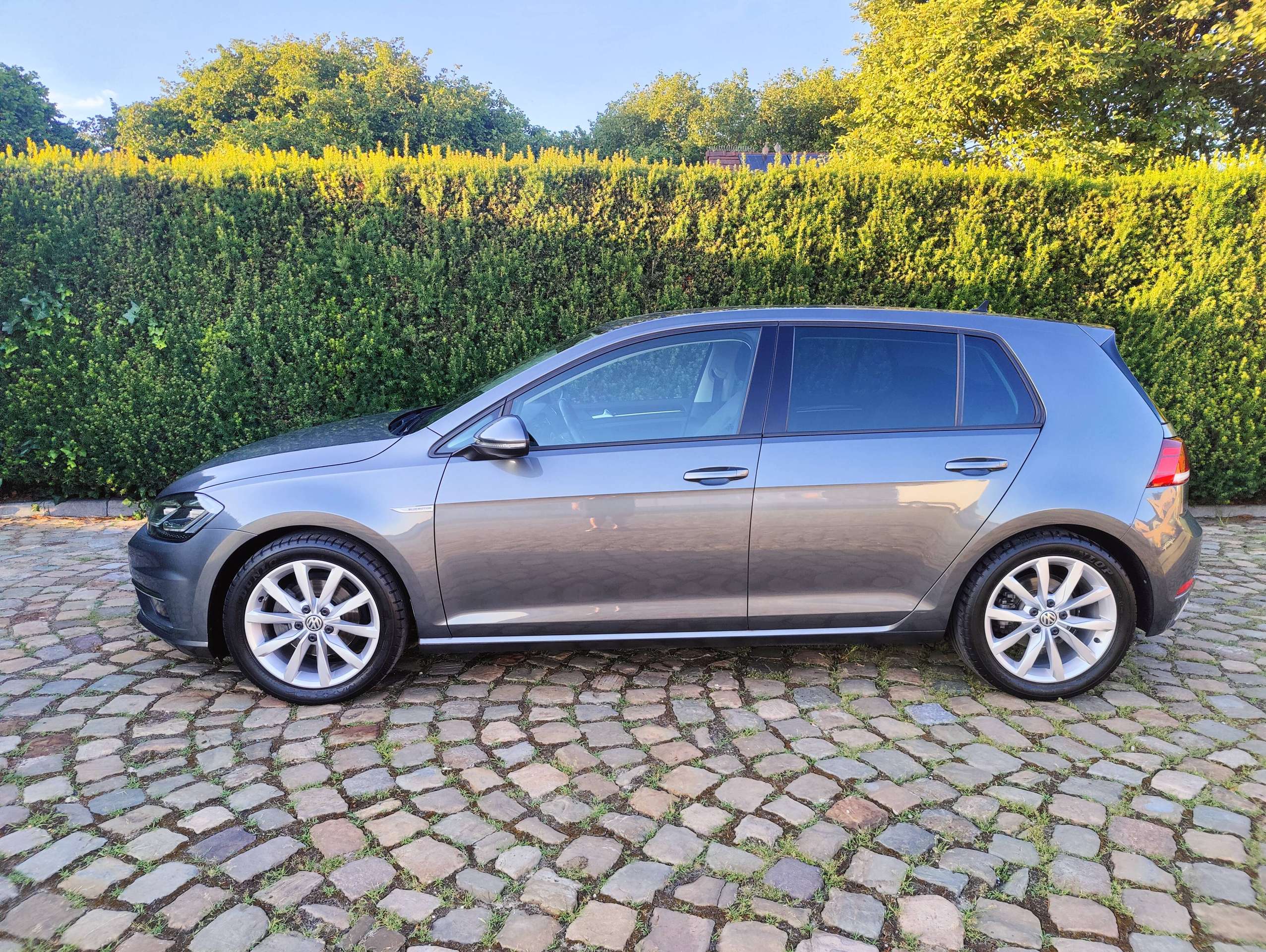 ca9c28f5-10b5-4931-a67d-db036605d4764-volkswagen-golf-golf-1-5-tsi-act-bm-highline-opf-dsg-eu6-2-20260708.jpg