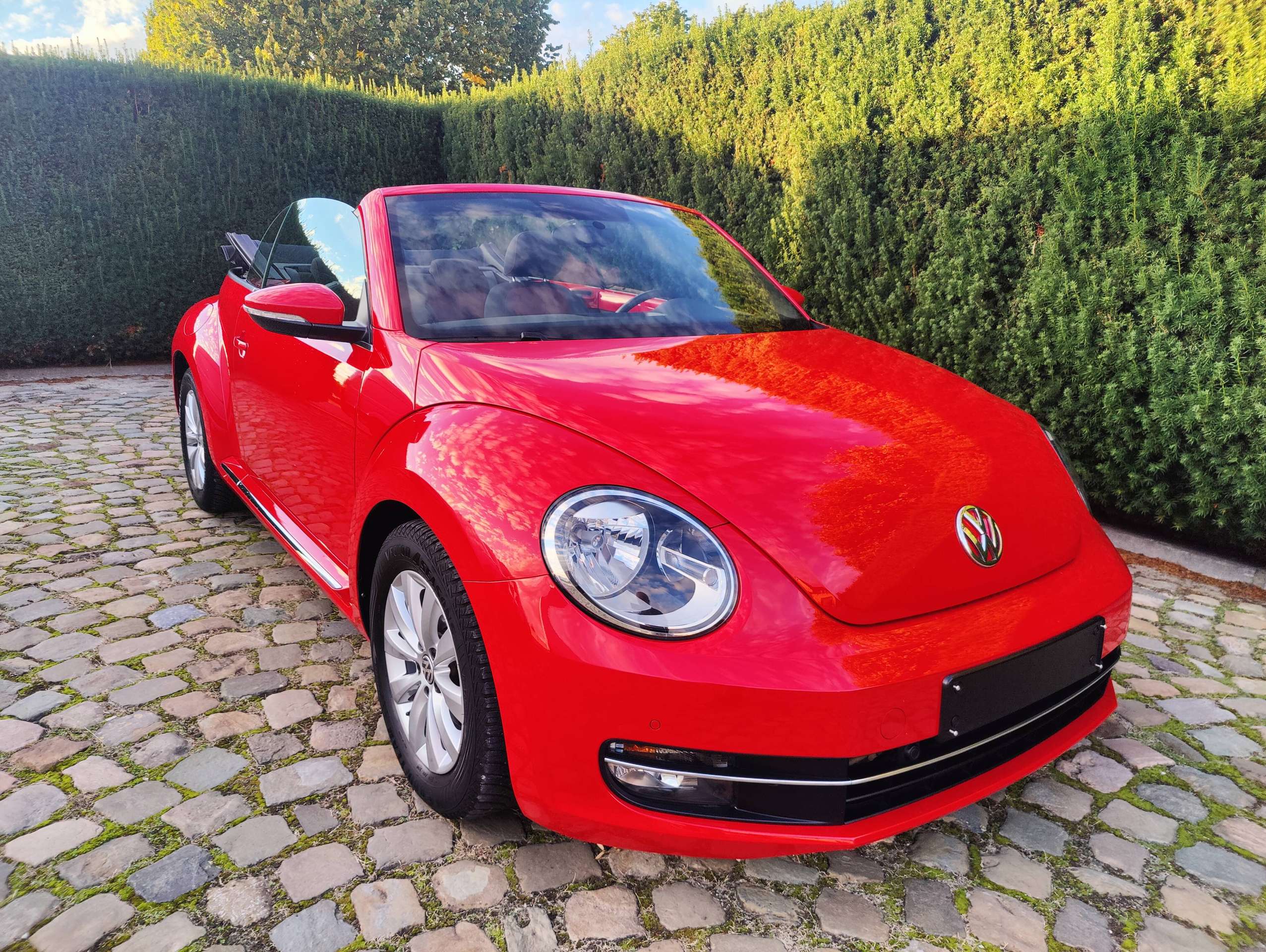 f6655673-ca74-40c7-b8f0-54574058a36d1-volkswagen-beetle-beetle-cabriolet-1-2-tsi-20260924.jpg