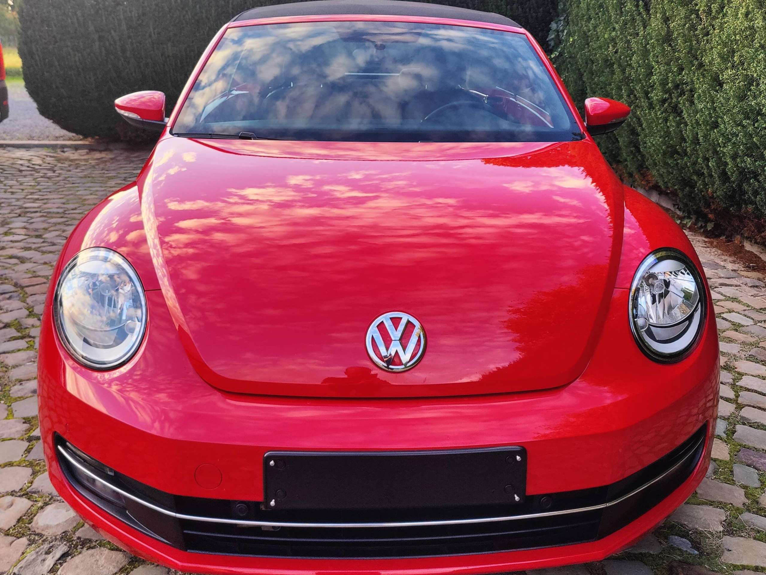 f6655673-ca74-40c7-b8f0-54574058a36d10-volkswagen-beetle-beetle-cabriolet-1-2-tsi-20260924.jpg