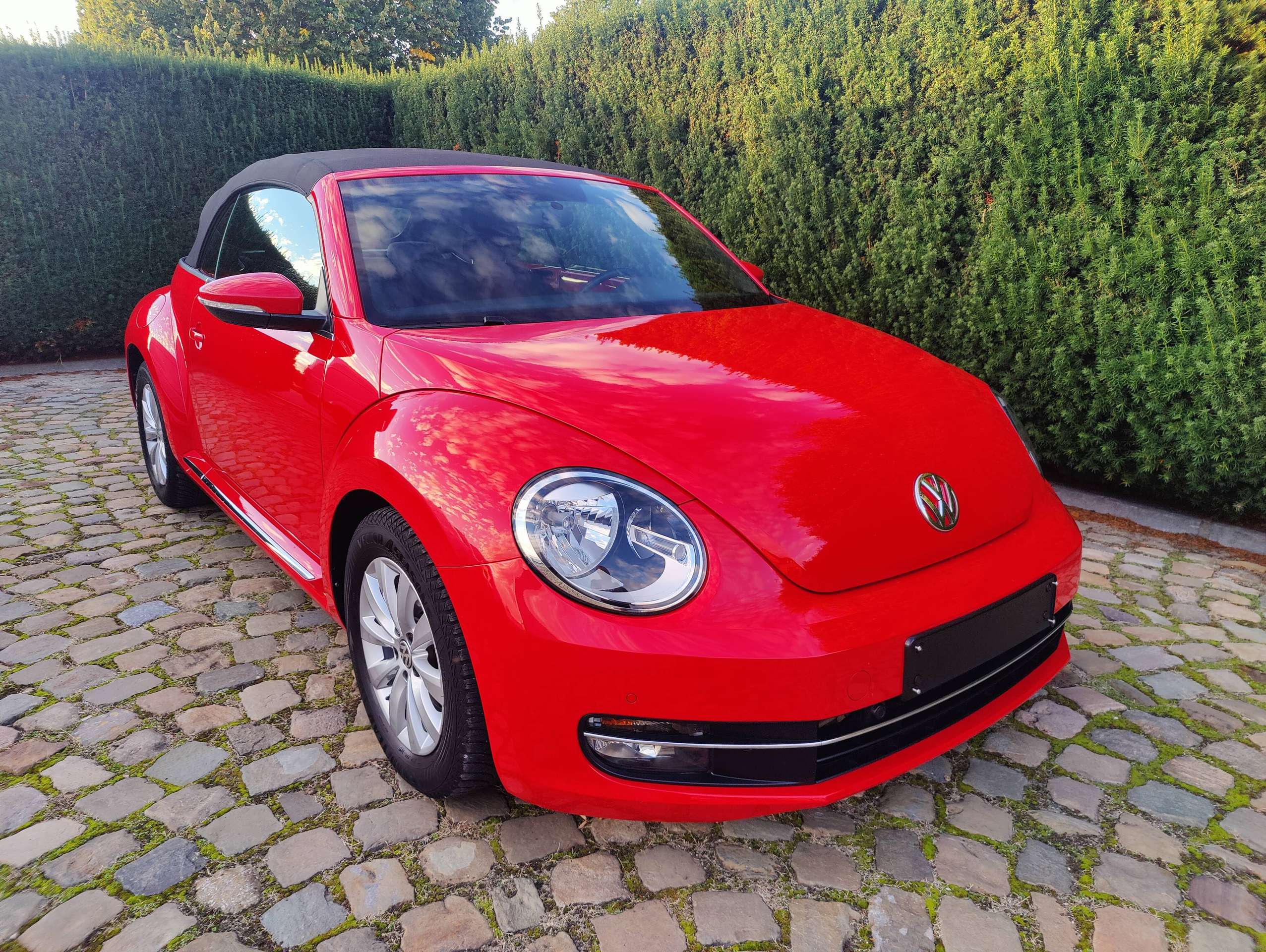 f6655673-ca74-40c7-b8f0-54574058a36d9-volkswagen-beetle-beetle-cabriolet-1-2-tsi-20260924.jpg